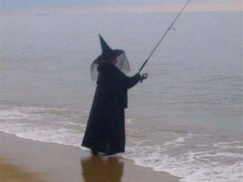 The Witchy Fish Forecaster: A Guide to Predicting the Weather Through Fish
